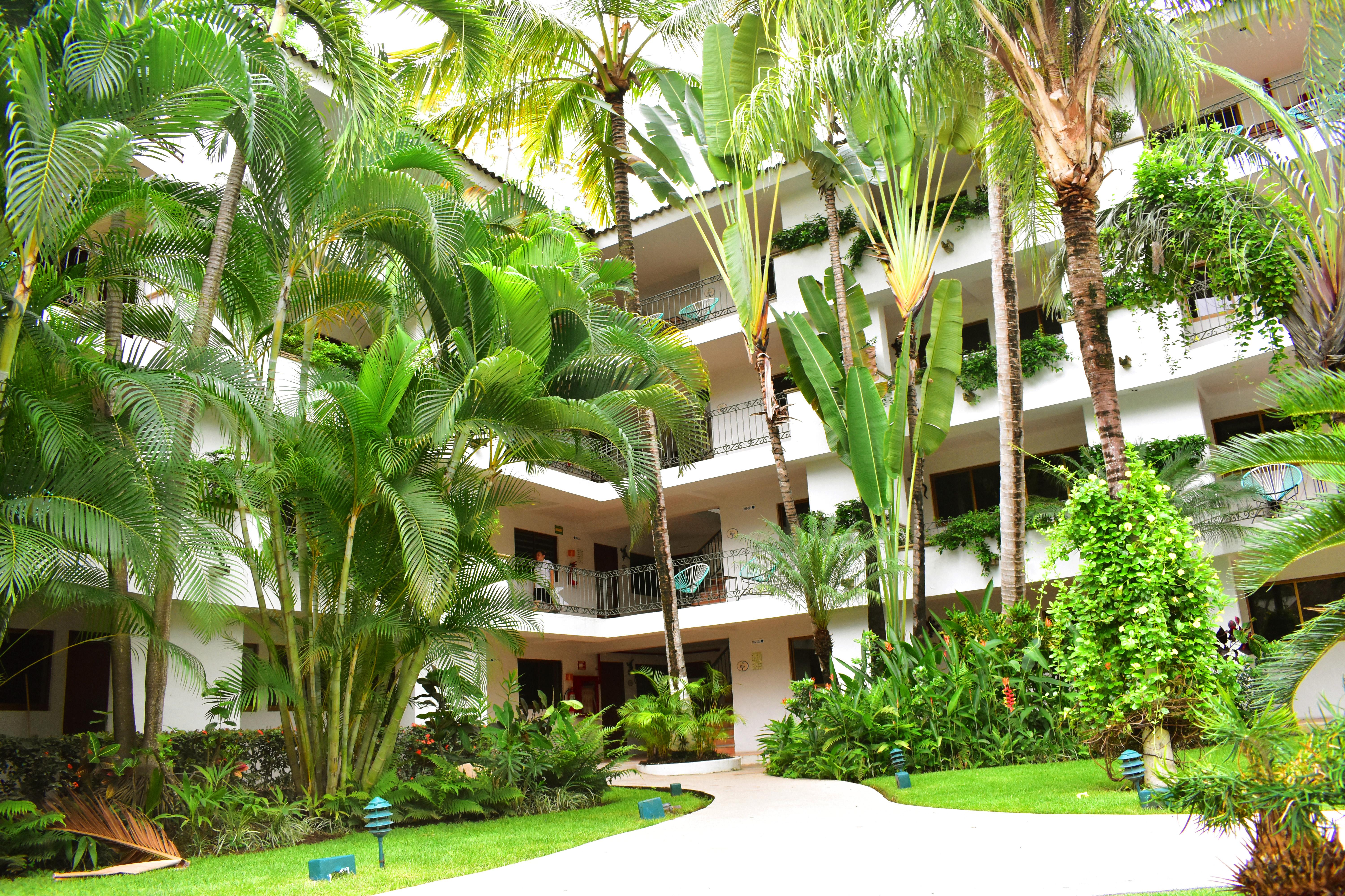 Hotel Casa Iguana Mismaloya Puerto Vallarta Extérieur photo